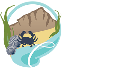 Coastal Foraging